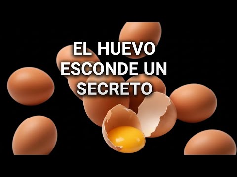 El huevo: el superhéroe de la cocina saludable y deliciosa