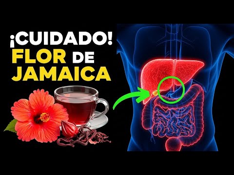 El Poder del Té de Hibisco: Un Remedio Natural con un Toque de Cautela