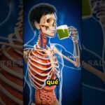 El poder del jugo verde: Un viaje de 30 días hacia una salud radiante