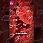 Eyacular a diario: ¿Beneficio o riesgo para tu salud?